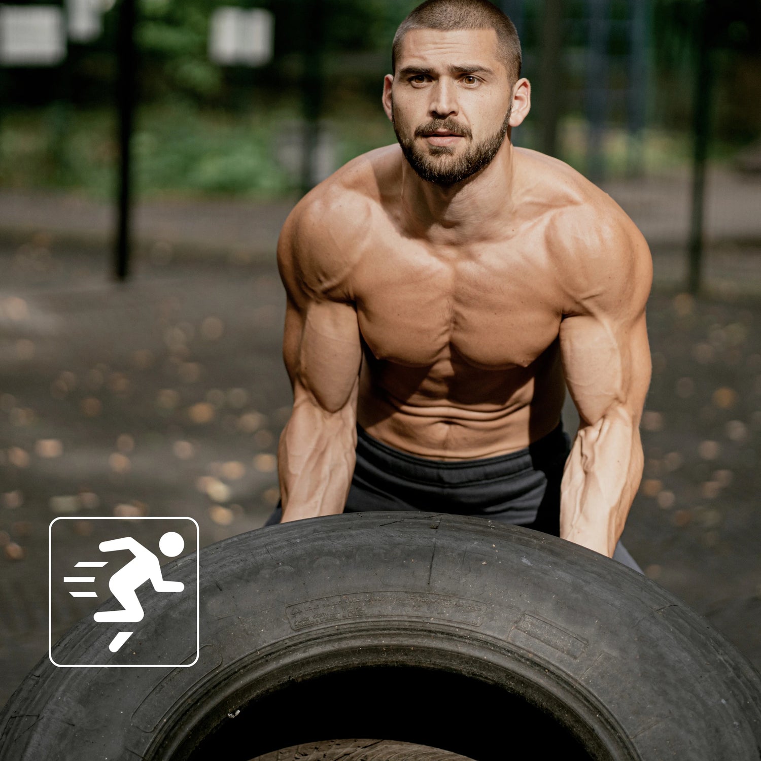 personal training in auckland for athletes